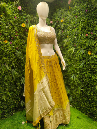 Choli Suit